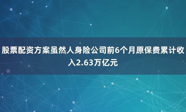 股票配资方案虽然人身险公司前6个月原保费累计收入2.63万亿元