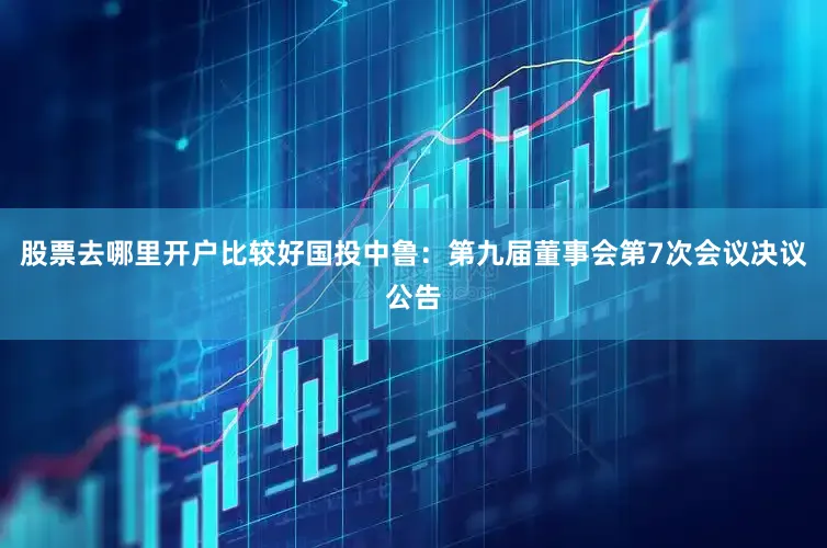 股票去哪里开户比较好国投中鲁：第九届董事会第7次会议决议公告
