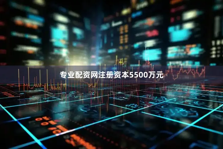 专业配资网注册资本5500万元